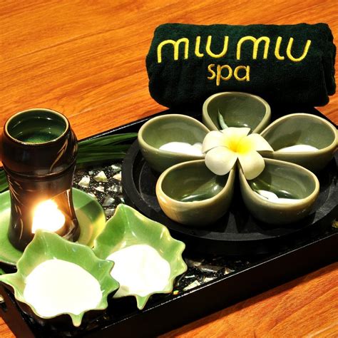 miu miu spa 3|mi miu spa nhat.